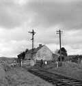 Island Road Station, Co. Sligo