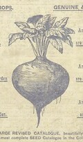 British Library digitised image from page 118 of "Botany Bay past and present"