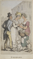 Rowlandson's characteristic Sketches of the Lower Orders, intended as a companion to the New Picture of London: consisting of fifty-four plates ... coloured.  - caption: ''Poodles'. Three people admiring some puppies.'