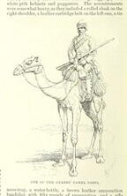 British Library digitised image from page 116 of "Gordon and the Mahdi, an illustrated narrative of the war in the Soudan, etc"