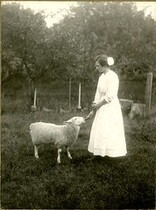 Susie Westlake feeding a lamb, 1916