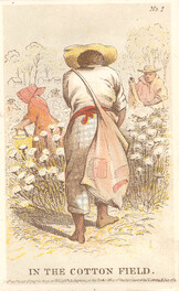 In The Cotton Field., ca. 1863