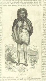 British Library digitised image from page 252 of "Title"