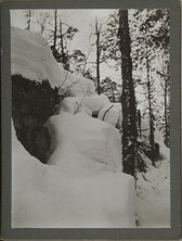 Detail of a snow-covered cliffside with nearby tree