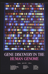 Gene Discovery in the Human Genome
