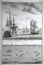 [Ships fishing for cod in the Grand Banks]