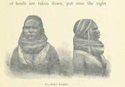 British Library digitised image from page 111 of "Through Masai Land. Third edition"