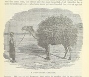 British Library digitised image from page 477 of "The Australian abroad, etc"