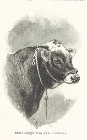 British Library digitised image from page 547 of "Az OsztrÃ¡k-Magyar Monarchia irÃ¡sban Ã©s kÃ©pben. Rudolf trÃ³nÃ¶rÃ¶kÃ¶s fÅ‘herczeg Å ... fensÃ©ge kezdemÃ©nyezÃ©sÃ©bÅ‘l Ã©s kÃ¶zremunkÃ¡lÃ¡sÃ¡val. (Die deutsche Ausgabe redigirt ... J. von Weilen, die ungarische M. JÃ³kai.)