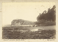 Coastal scene, North Side - Wynyard (c1890)