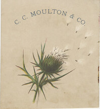 C.C. Moulton & Co.