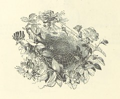 British Library digitised image from page 30 of "Illustrated Poems and Songs for Young People. Edited by Mrs. Sale Barker"