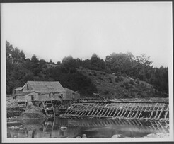 Mill and dam at Ducktrap.tif