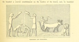 British Library digitised image from page 291 of "Popular History of Egypt. ... (The Egyptian War.) Illustrated, etc"