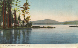 In the Adirondack Mountains, N.Y.