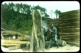 Man using handsaw on tree trunk.