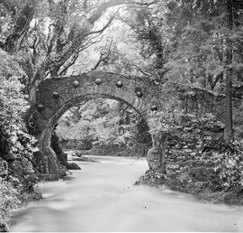 "Bridge of one rounded arch over river in woods, seven bosses round arch" = Foley's Bridge, Tollymore
