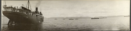 S.S. Grampion and other vessels at Gaspe