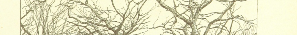 British Library digitised image from page 27 of "Spring (Summer-Autumn-Winter) songs and sketches"