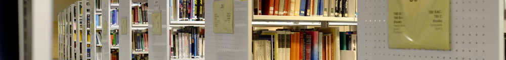 South Library shelves