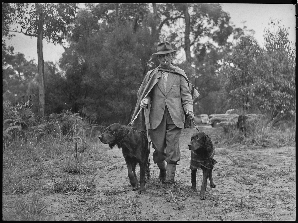 St. Ives Dog Show, 18 March, 1950, Pix Magazine, State Library of New South Wales