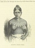 British Library digitised image from page 324 of "Die Kopien der Weltkarte des Museum Borgia, etc. (Nachrichten von der KÃ¶niglichen Gesellschaft der Wissenschaften und der Georg-August-UniversitÃ¤t zu GÃ¶ttingen, 22. Juni. 1892.)"