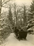 Woman in sleigh, 1909