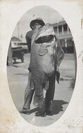 Murray River Cod Postcard