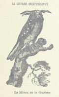 British Library digitised image from page 103 of "Ã‰tudes coloniales. La Guyane indÃ©pendante [Text and illustrations.]"