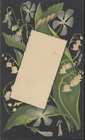 Boschee's German Syrup & Green's August Flower