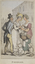 Rowlandson's characteristic Sketches of the Lower Orders, intended as a companion to the New Picture of London: consisting of fifty-four plates ... coloured.  - caption: ''Poodles'. Three people admiring some puppies.'