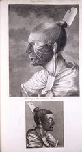 A Collection of Drawings made in the Countries visited by Captain Cook in his First Voyage - caption: 'Portrait of a New Zealand man'