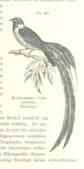 British Library digitised image from page 1061 of "Unser Wissen von der Erde. Allgemeine Erdkunde und LÃ¤nderkunde, herausgegeben unter fachmÃ¤nnischer Mitwirkung von A. Kirchhoff"