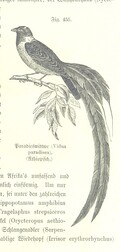 British Library digitised image from page 1061 of "Unser Wissen von der Erde. Allgemeine Erdkunde und LÃ¤nderkunde, herausgegeben unter fachmÃ¤nnischer Mitwirkung von A. Kirchhoff"