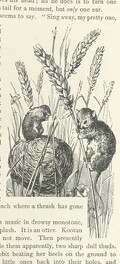 British Library digitised image from page 53 of "Kenneth McAlpine: a tale of mountain, moorland, and sea"