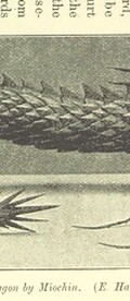 British Library digitised image from page 199 of "Japan and its Art"