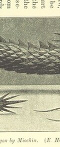 British Library digitised image from page 199 of "Japan and its Art"