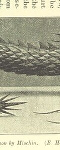 British Library digitised image from page 199 of "Japan and its Art"