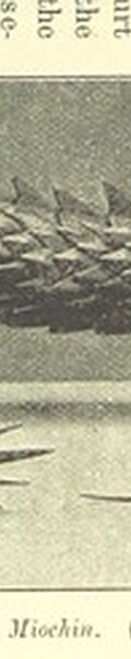 British Library digitised image from page 199 of "Japan and its Art"