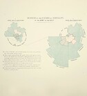 Diagram of the causes of mortality in the Army in the East