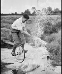 Trick cyclist and golfer Banner Forbutt, December 1946