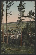 La Louvesc (ArdÃ¨che) - Altit. 1050 m. - Vue gÃ©nÃ©rale