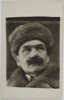 Portrait of Akseli Gallen-Kallela in Ruovesi, 1918; print 1 of the photograph.