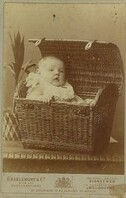 Watson or Playfair family baby in a basket, ca. 1885 / photographer Charlemont & Co., Royal Arcade, Sydney