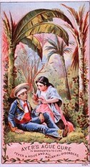 Ayer's Ague Cure Is Warranted To Cure Fever & Ague And All Malarial Disorders