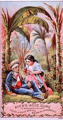 Ayer's Ague Cure Is Warranted To Cure Fever & Ague And All Malarial Disorders
