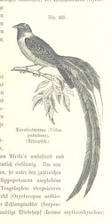 British Library digitised image from page 1061 of "Unser Wissen von der Erde. Allgemeine Erdkunde und LÃ¤nderkunde, herausgegeben unter fachmÃ¤nnischer Mitwirkung von A. Kirchhoff"