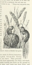 British Library digitised image from page 53 of "Kenneth McAlpine: a tale of mountain, moorland, and sea"