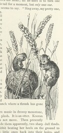 British Library digitised image from page 53 of "Kenneth McAlpine: a tale of mountain, moorland, and sea"