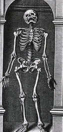 Skeleton Standing in a Small Alcove
